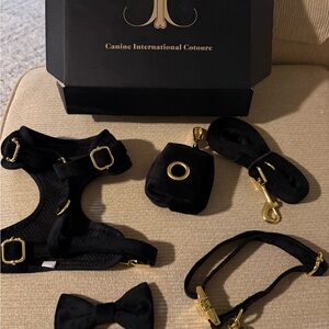 Black and Gold small dog harness set- new in box!